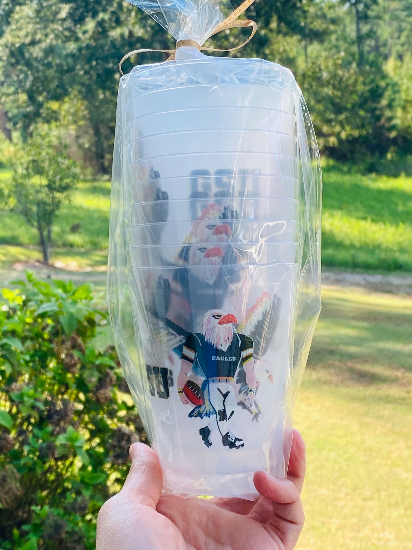 Set of 10 Frosted Eagles Cups