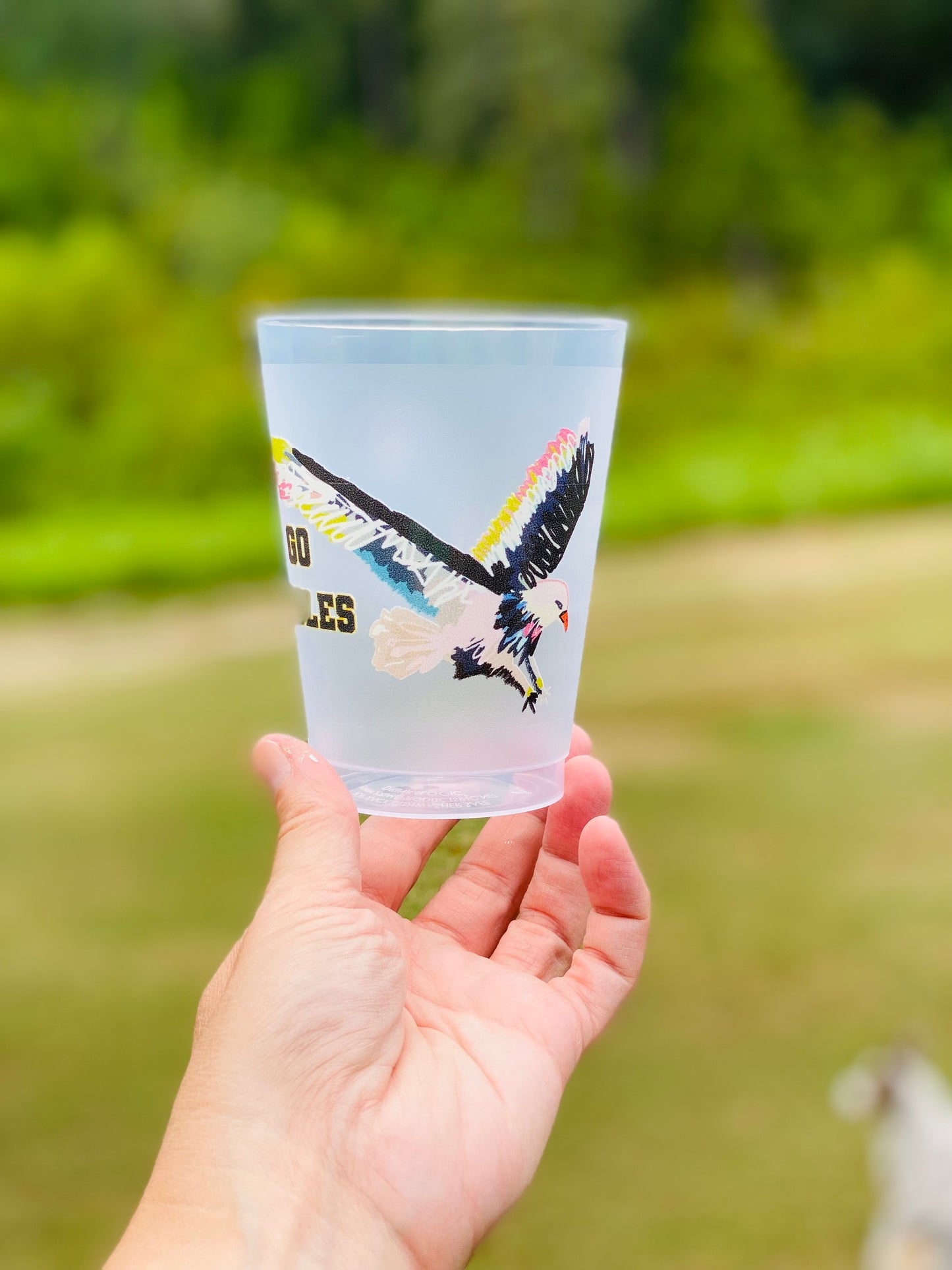 Set of 10 Frosted Eagles Cups