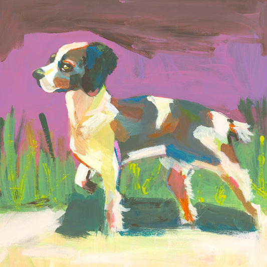 Bingo the Brittany Spaniel Print